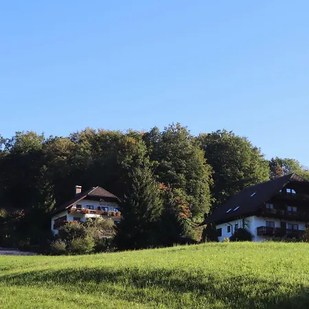 Sterngut.5 *