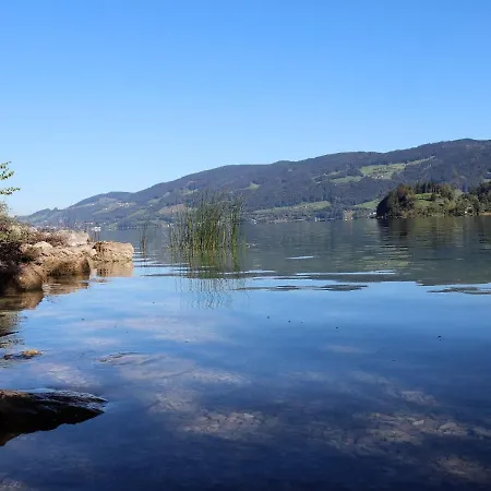 Sterngut.5 *