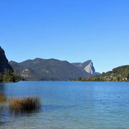 Sterngut.5 *